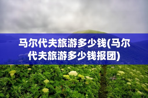马尔代夫旅游多少钱(马尔代夫旅游多少钱报团)
