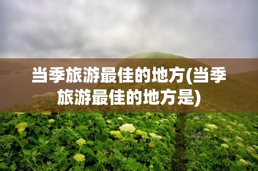 当季旅游最佳的地方(当季旅游最佳的地方是)