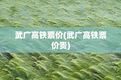 武广高铁票价(武广高铁票价贵)