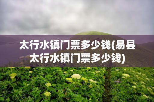 太行水镇门票多少钱(易县太行水镇门票多少钱)