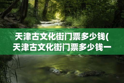 天津古文化街门票多少钱(天津古文化街门票多少钱一张)