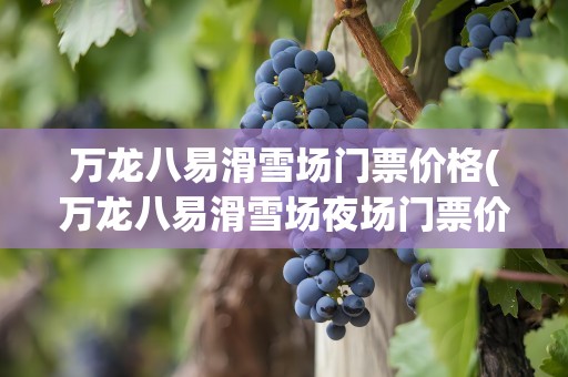 万龙八易滑雪场门票价格(万龙八易滑雪场夜场门票价格)