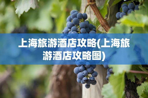 上海旅游酒店攻略(上海旅游酒店攻略图)