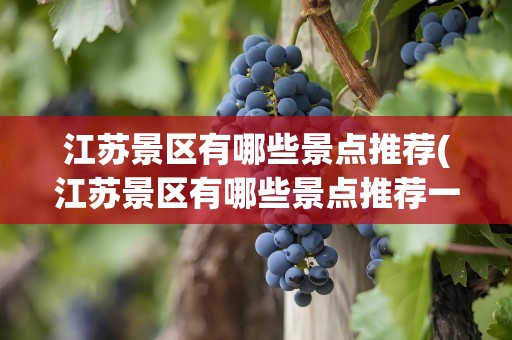江苏景区有哪些景点推荐(江苏景区有哪些景点推荐一下)