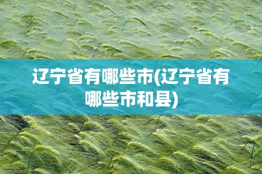 辽宁省有哪些市(辽宁省有哪些市和县)