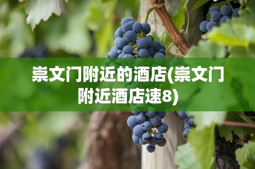 崇文门附近的酒店(崇文门附近酒店速8)