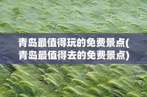 青岛最值得玩的免费景点(青岛最值得去的免费景点)