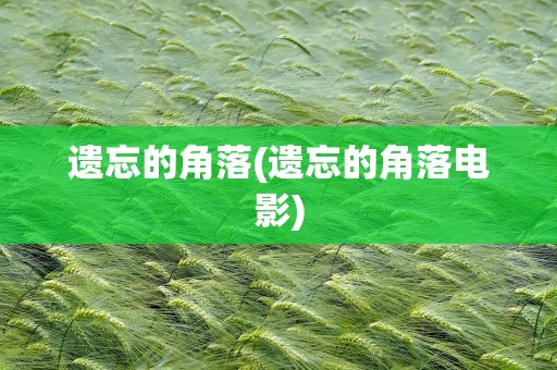 遗忘的角落(遗忘的角落电影)