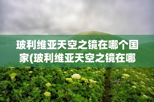 玻利维亚天空之镜在哪个国家(玻利维亚天空之镜在哪个国家生产)