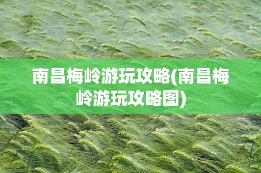 南昌梅岭游玩攻略(南昌梅岭游玩攻略图)