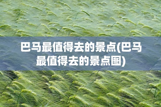 巴马最值得去的景点(巴马最值得去的景点图)