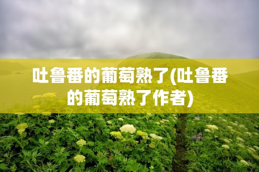 吐鲁番的葡萄熟了(吐鲁番的葡萄熟了作者)