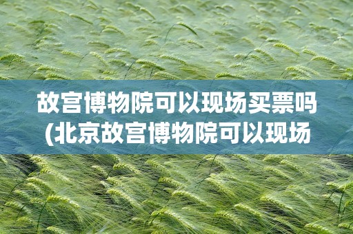故宫博物院可以现场买票吗(北京故宫博物院可以现场买票吗)