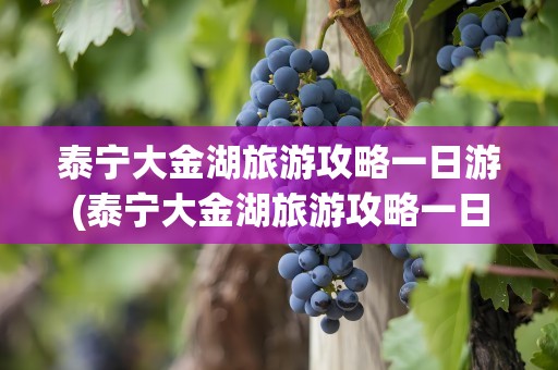 泰宁大金湖旅游攻略一日游(泰宁大金湖旅游攻略一日游路线)