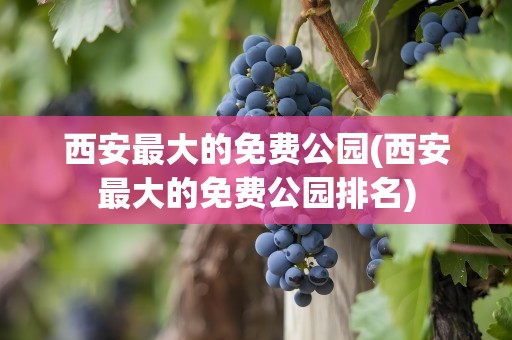 西安最大的免费公园(西安最大的免费公园排名)