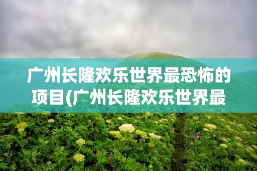 广州长隆欢乐世界最恐怖的项目(广州长隆欢乐世界最刺激的项目)
