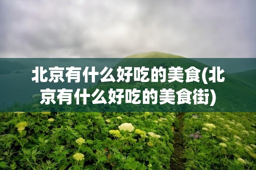 北京有什么好吃的美食(北京有什么好吃的美食街)