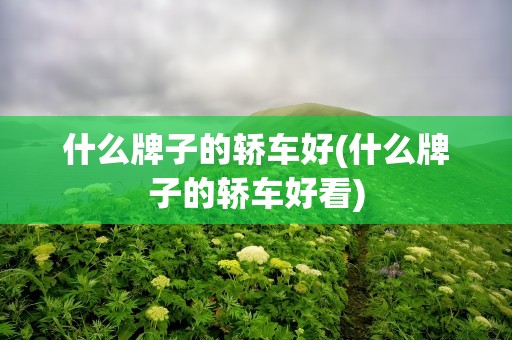 什么牌子的轿车好(什么牌子的轿车好看)