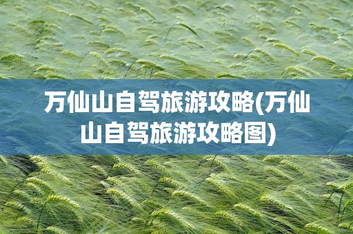万仙山自驾旅游攻略(万仙山自驾旅游攻略图)