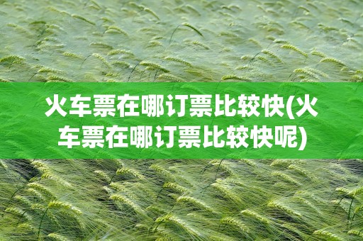 火车票在哪订票比较快(火车票在哪订票比较快呢)