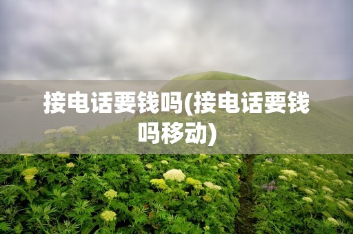接电话要钱吗(接电话要钱吗移动)