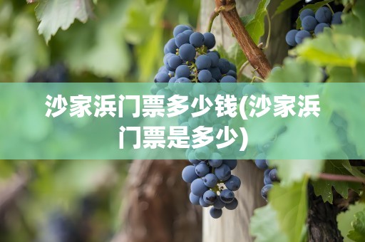 沙家浜门票多少钱(沙家浜门票是多少)