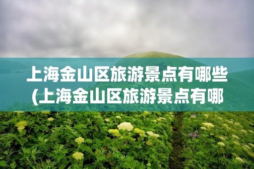 上海金山区旅游景点有哪些(上海金山区旅游景点有哪些地方)