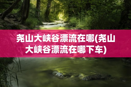 尧山大峡谷漂流在哪(尧山大峡谷漂流在哪下车)