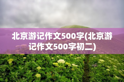 北京游记作文500字(北京游记作文500字初二)