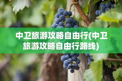 中卫旅游攻略自由行(中卫旅游攻略自由行路线)