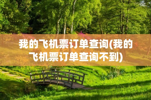 我的飞机票订单查询(我的飞机票订单查询不到)