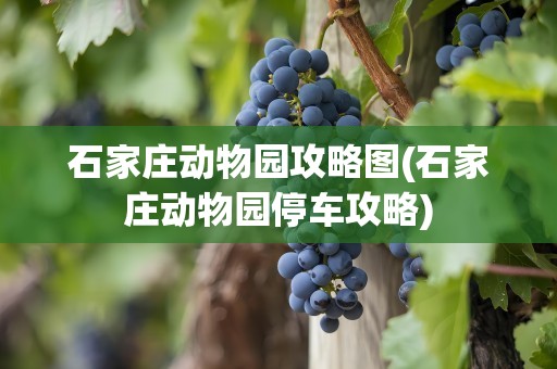 石家庄动物园攻略图(石家庄动物园停车攻略)