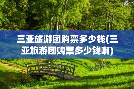 三亚旅游团购票多少钱(三亚旅游团购票多少钱啊)