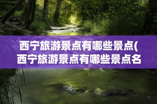 西宁旅游景点有哪些景点(西宁旅游景点有哪些景点名称)