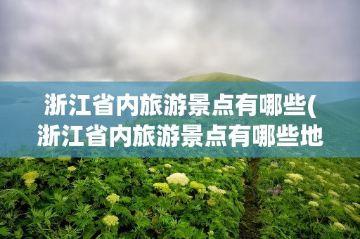 浙江省内旅游景点有哪些(浙江省内旅游景点有哪些地方)