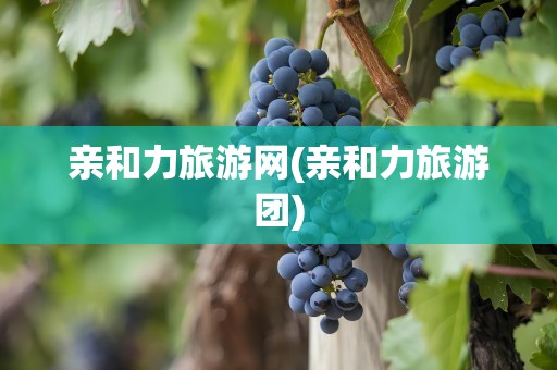 亲和力旅游网(亲和力旅游团)