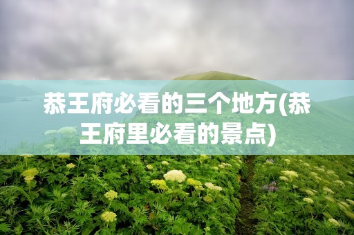 恭王府必看的三个地方(恭王府里必看的景点)