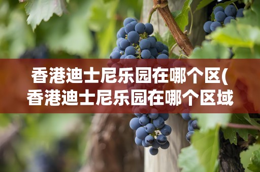 香港迪士尼乐园在哪个区(香港迪士尼乐园在哪个区域)