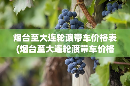 烟台至大连轮渡带车价格表(烟台至大连轮渡带车价格表最新)