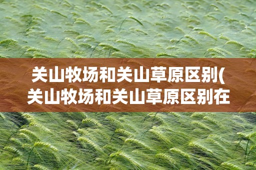 关山牧场和关山草原区别(关山牧场和关山草原区别在哪)