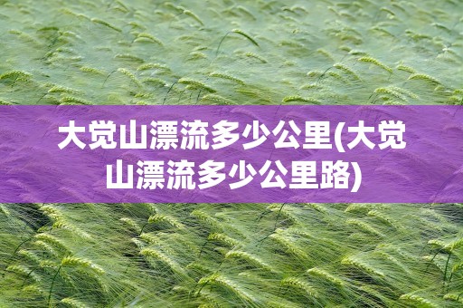 大觉山漂流多少公里(大觉山漂流多少公里路)
