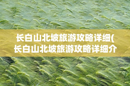 长白山北坡旅游攻略详细(长白山北坡旅游攻略详细介绍)