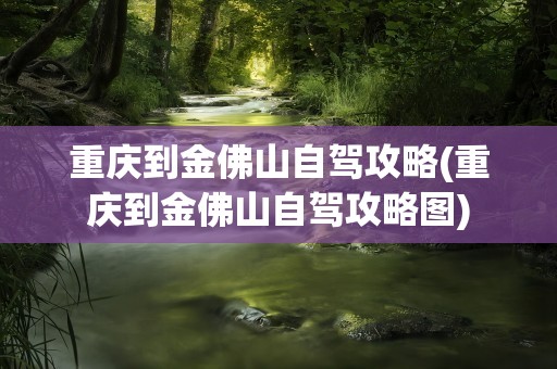 重庆到金佛山自驾攻略(重庆到金佛山自驾攻略图)