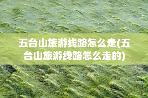 五台山旅游线路怎么走(五台山旅游线路怎么走的)