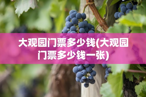 大观园门票多少钱(大观园门票多少钱一张)