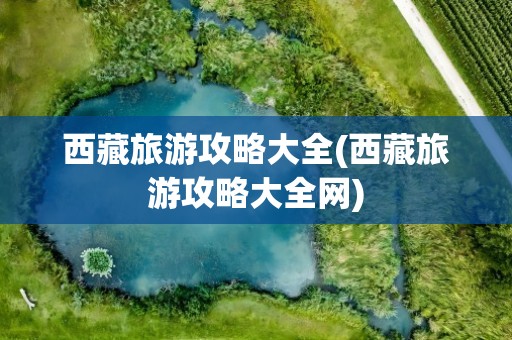 西藏旅游攻略大全(西藏旅游攻略大全网)