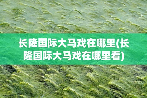 长隆国际大马戏在哪里(长隆国际大马戏在哪里看)