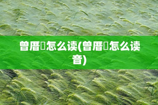 曾厝垵怎么读(曾厝垵怎么读音)