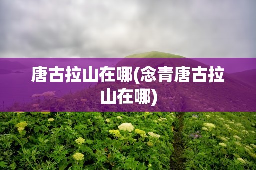 唐古拉山在哪(念青唐古拉山在哪)