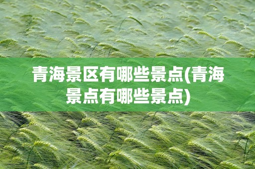 青海景区有哪些景点(青海景点有哪些景点)